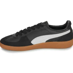 Hot Puma - Palermo Lth