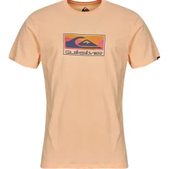 Quiksilver - EV GRADIENT BOX SS Rose Clearance