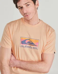 Quiksilver - EV GRADIENT BOX SS Rose Clearance