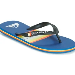 Quiksilver - MOLOKAI RESIN TINT
