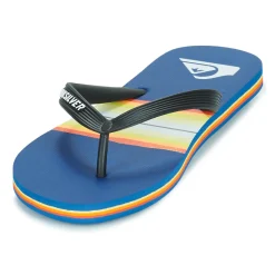 Quiksilver - MOLOKAI RESIN TINT