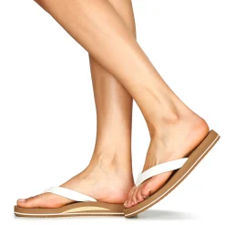 Reef - CUSHION BREEZE