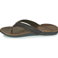 Online Reef - J-BAY III Marron