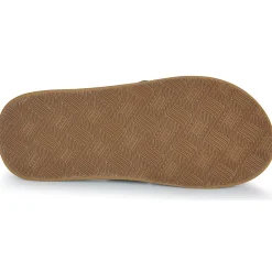 Reef - THE LAYBACK Vert