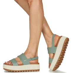 Reef - WATER VISTA HIGHER