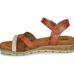 Refresh - 171777 Camel