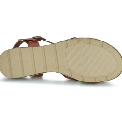 Refresh - 171777 Camel