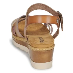 Online Refresh - 172682 Camel