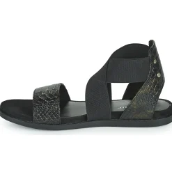 Regard - BONNO V1 BOA BRONZE Noir Best