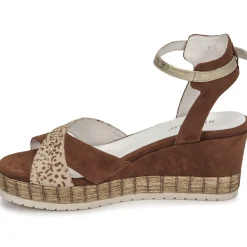 Online Regard - DOUAI Marron