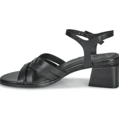 Regard - ET.EPI CRUST BLACK 2203