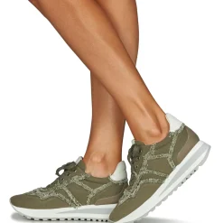 Regard - GIEN V4 CANVAS KAKI