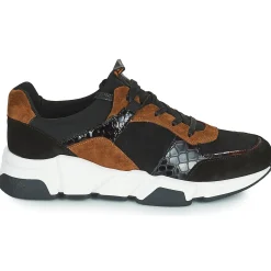 Regard - KENO Clearance