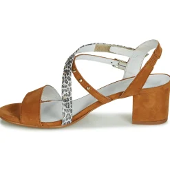 New Regard - REFTA V1 ANTE CAMEL Marron