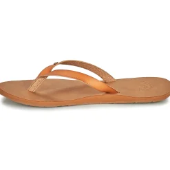 Roxy - JYLL III Camel Online