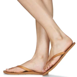 Roxy - JYLL III Camel Online