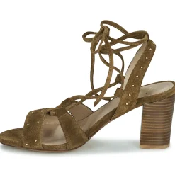 Best San Marina - MEXA/VEL Marron