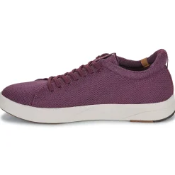 Sale Saola - CANNON KNIT 2.0 WOOL Bordeaux