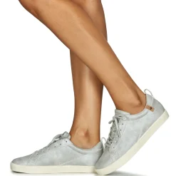 Saola - CANNON W Clearance