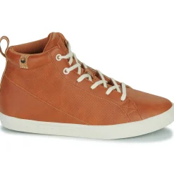 Saola - WANAKA Marron Online