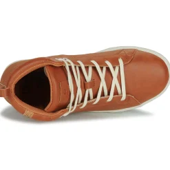 Saola - WANAKA Marron Online