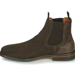 Schmoove - PILOT-CHELSEA