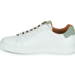 Schmoove - SPARK CLAY