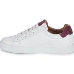 Schmoove - SPARK CLAY Hot