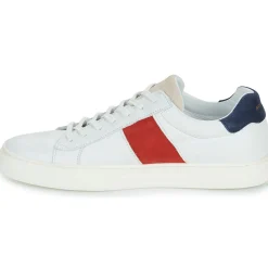 Best Schmoove - SPARK GANG M