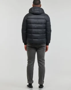 Clearance Schott - HAWK-RS Noir