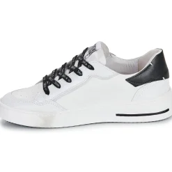 Semerdjian - ALE New