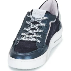 Clearance Semerdjian - ALE