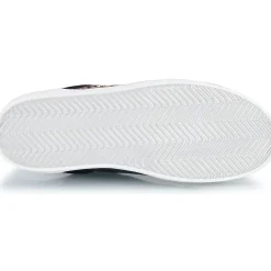 Clearance Semerdjian - ALE