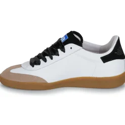 Semerdjian - ASLAN Online