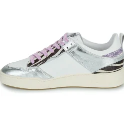 Online Semerdjian - CHITA