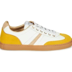 Best Serafini - COURT