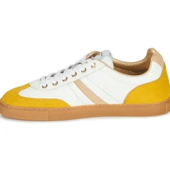 Best Serafini - COURT