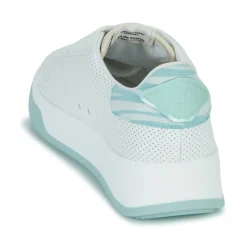 New Serafini - J.CONNORS