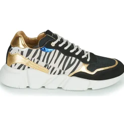 Serafini - OREGON Discount