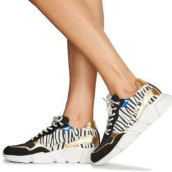 Serafini - OREGON Discount