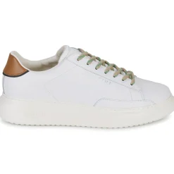 Clearance Serafini - ROGER 2