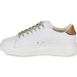 Clearance Serafini - ROGER 2