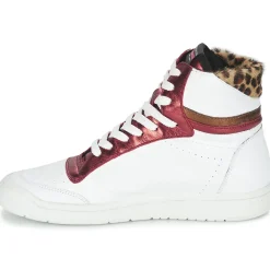 Online Serafini - SAN DIEGO