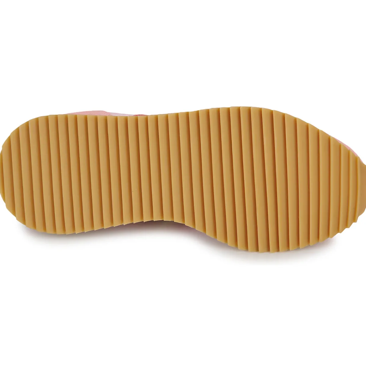 Serafini - TORINO Rose