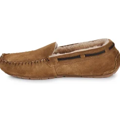 Shepherd - STEFFO Marron Hot