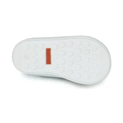 Shoo Pom - BOUBA SUN Rose Online