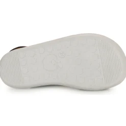 Shoo Pom - GOA BOY SCRATCH