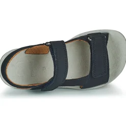 Shoo Pom - GOA BOY SCRATCH Bleu Sale