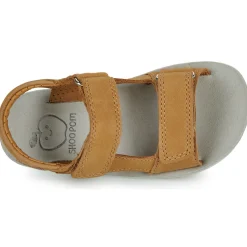 Shoo Pom - GOA BOY SCRATCH CAMEL