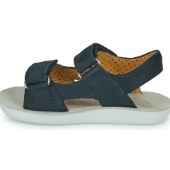 Shoo Pom - GOA BOY SCRATCH